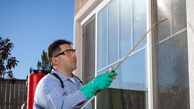Técnico pulverizando la base de la fachada exterior de una vivienda durante un servicio de control de aves en León