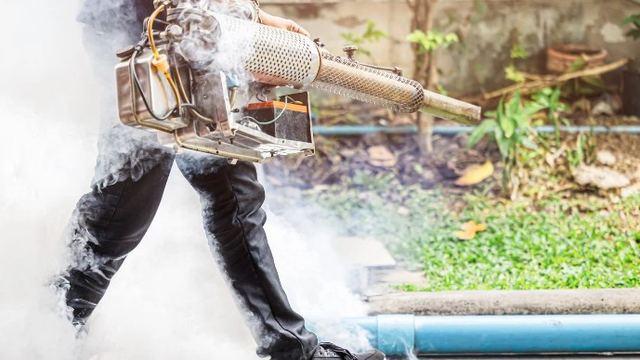 Técnico con máquina de nebulización generando humo insecticida junto a una zona ajardinada durante un servicio de control de aves en León