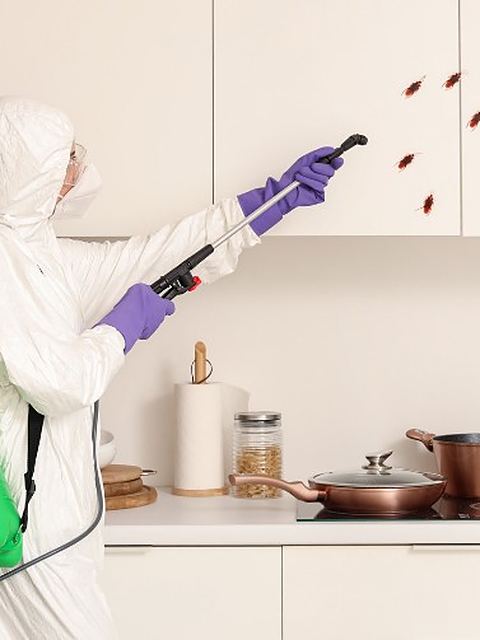 Técnico con equipo de protección aplicando tratamiento en los armarios de una cocina durante un servicio de desinfección en León Técnico con equipo de protección aplicando tratamiento en los armarios de una cocina durante un servicio de desinfección en León
