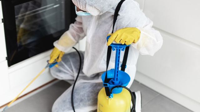 Técnico con equipo de protección aplicando insecticida junto al horno de una cocina durante un servicio de desinsectación en León