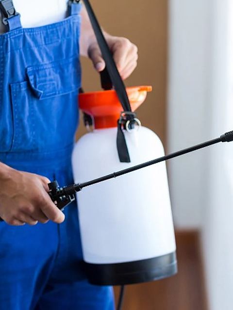 Técnico de control de plagas aplicando tratamiento con inyector en el rodapié de un salón durante un servicio de desinsectación en León