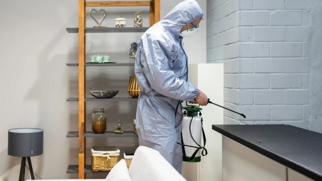 Técnico con equipo de protección aplicando tratamiento junto a una encimera de cocina durante un servicio de desratización en León