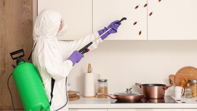 Técnico con equipo de protección aplicando tratamiento en los armarios de una cocina durante un tratamiento contra cucarachas en León