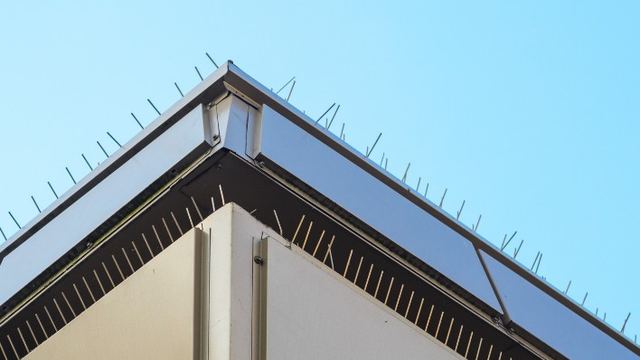 Sistema antipalomas instalado en la cubierta de una nave industrial, trabajo real en un polígono de León