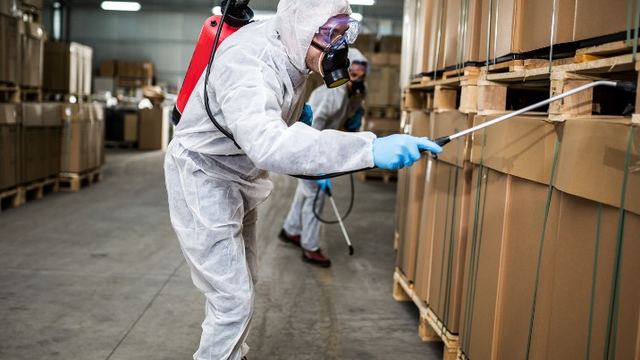 Técnico inspeccionando palés recién descargados en la zona de recepción de un almacén en León