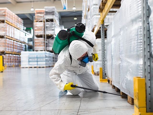 Técnico de control de plagas junto a los palés de un almacén industrial en León
