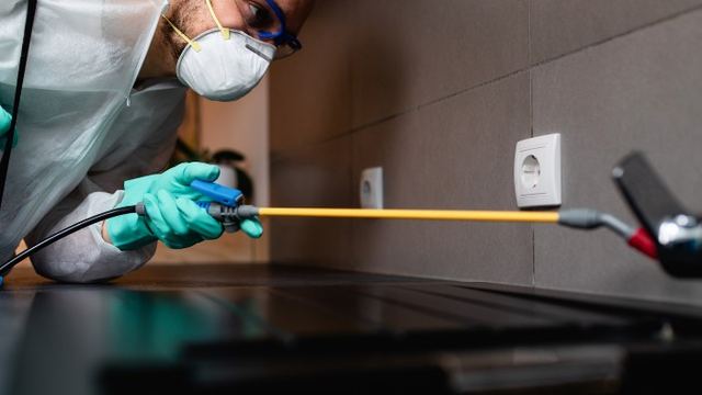 Técnico con mono de protección pulverizando tratamiento en un salón en un plan de control de plagas para empresas de León Técnico con mono de protección pulverizando tratamiento en un salón en un plan de control de plagas para empresas de León