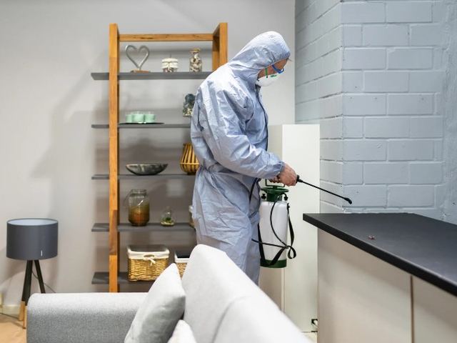 Técnico con equipo de protección aplicando tratamiento junto a una encimera de cocina en un plan de control de plagas para empresas de León Técnico con equipo de protección aplicando tratamiento junto a una encimera de cocina en un plan de control de plagas para empresas de León