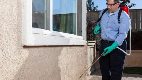 Técnico pulverizando la base de la fachada exterior de una vivienda en Control de Plagas León