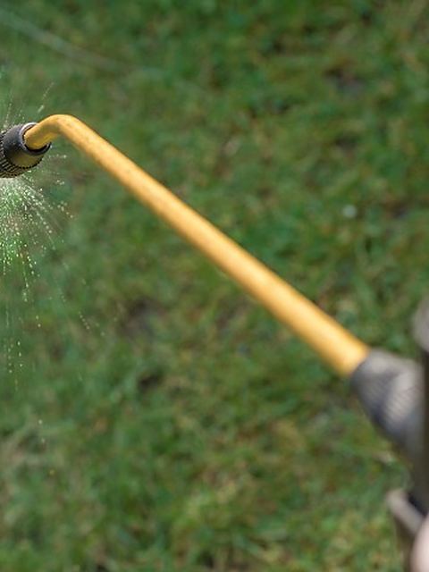 Boquilla de pulverizador aplicando tratamiento sobre el césped de un jardín durante una revisión de prevención de legionela en León