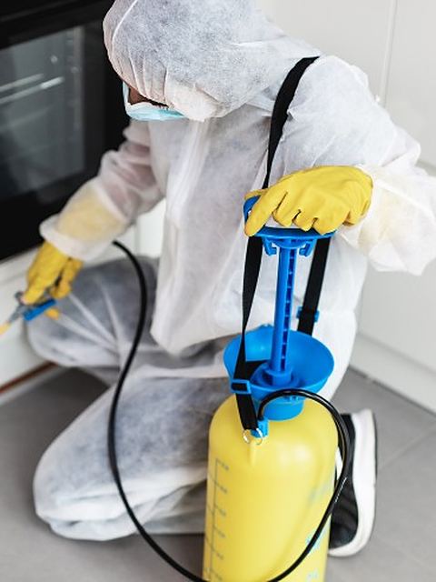 Técnico con equipo de protección aplicando tratamiento en los armarios de una cocina durante un tratamiento contra moscas y mosquitos en León Técnico con equipo de protección aplicando tratamiento en los armarios de una cocina durante un tratamiento contra moscas y mosquitos en León
