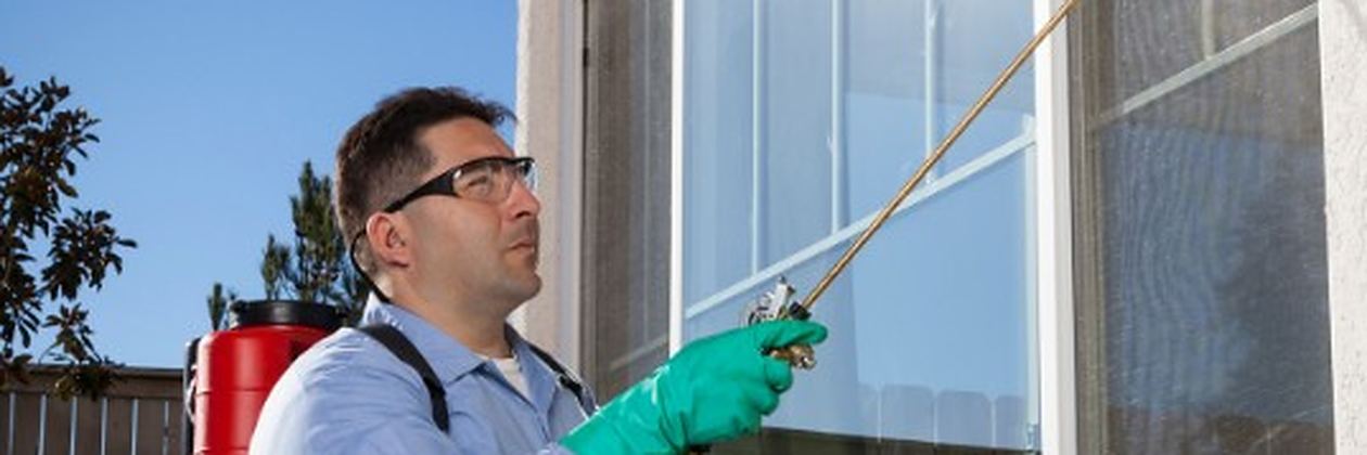 Técnico con máscara y equipo de protección completo fumigando el exterior de un edificio en León Técnico con máscara y equipo de protección completo fumigando el exterior de un edificio en León
