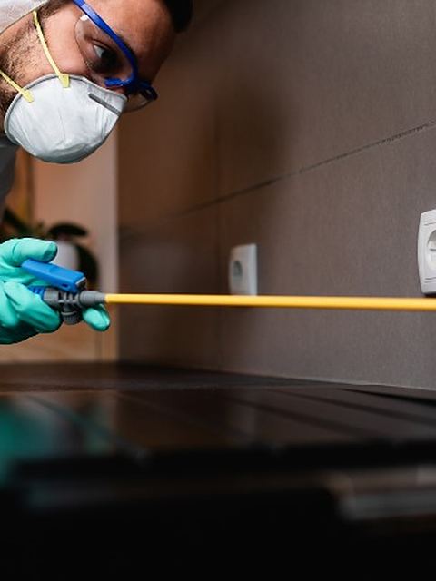 Técnico con mono de protección pulverizando tratamiento en un salón durante un tratamiento contra termitas y carcoma en León Técnico con mono de protección pulverizando tratamiento en un salón durante un tratamiento contra termitas y carcoma en León