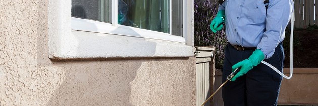 Boquilla de pulverizador aplicando tratamiento sobre el césped de un jardín en un servicio de control de plagas en San Andrés del Rabanedo