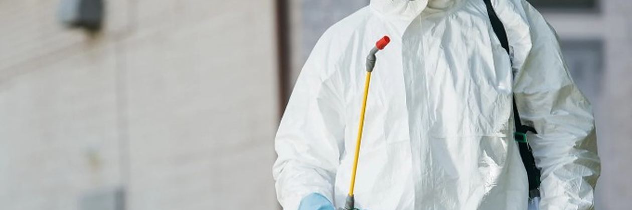 Técnico con máquina de nebulización generando humo insecticida junto a una zona ajardinada en un servicio de control de plagas en Valverde de la Virgen