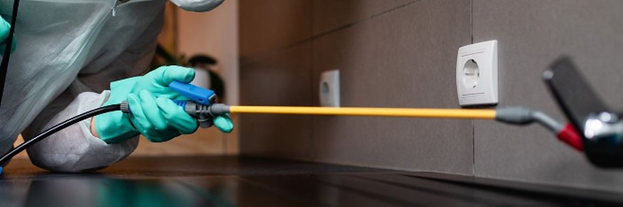 Técnico con mono de protección pulverizando tratamiento en un salón en un servicio de control de plagas en Villaquilambre